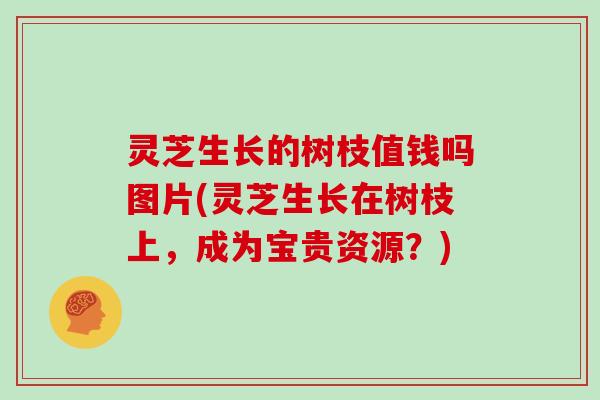 灵芝生长的树枝值钱吗图片(灵芝生长在树枝上，成为宝贵资源？)