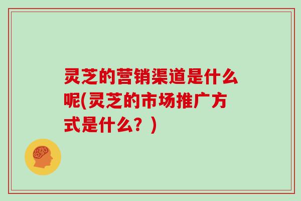 灵芝的营销渠道是什么呢(灵芝的市场推广方式是什么？)