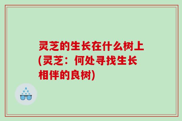 灵芝的生长在什么树上(灵芝：何处寻找生长相伴的良树)
