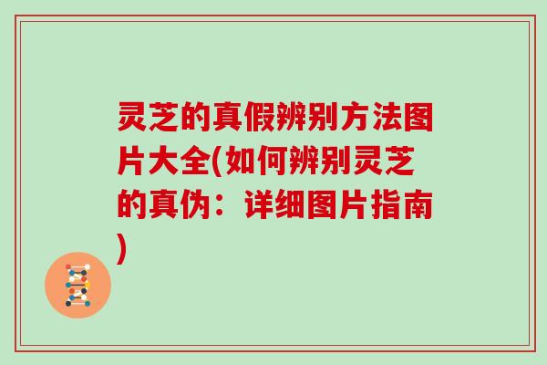 灵芝的真假辨别方法图片大全(如何辨别灵芝的真伪：详细图片指南)