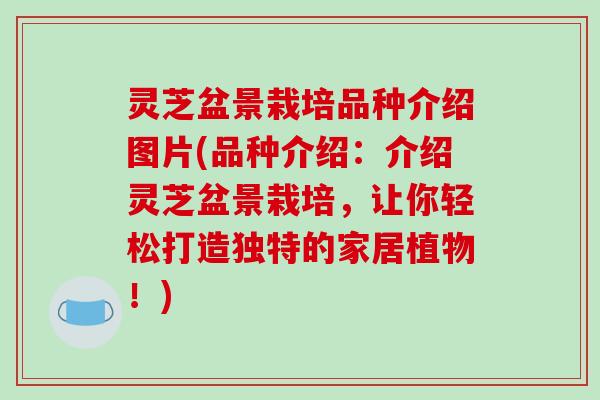 灵芝盆景栽培品种介绍图片(品种介绍:介绍灵芝盆景栽培,让你轻松打造独特的家居植物!) 灵芝盆景栽培品种介绍图片(品种介绍:介绍灵芝盆景栽培,让你轻松打造独特的家居植物!)