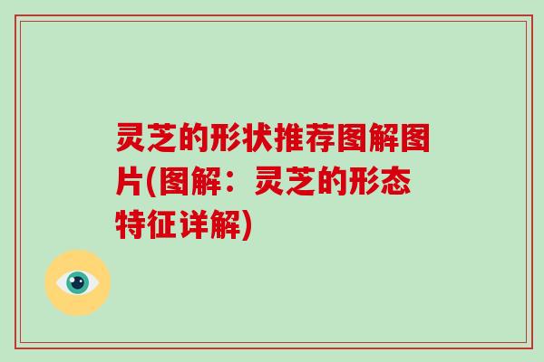 灵芝的形状推荐图解图片(图解:灵芝的形态特征详解) 灵芝的形状推荐图解图片(图解:灵芝的形态特征详解)