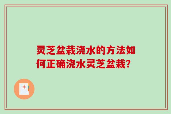 灵芝盆栽浇水的方法如何正确浇水灵芝盆栽？