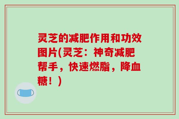 灵芝的作用和功效图片(灵芝：神奇帮手，快速燃脂，降！)