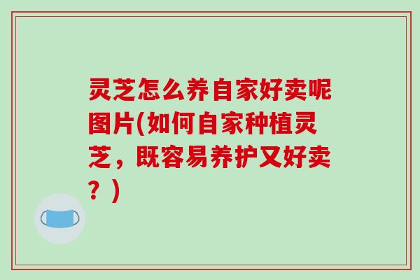 灵芝怎么养自家好卖呢图片(如何自家种植灵芝，既容易养护又好卖？)