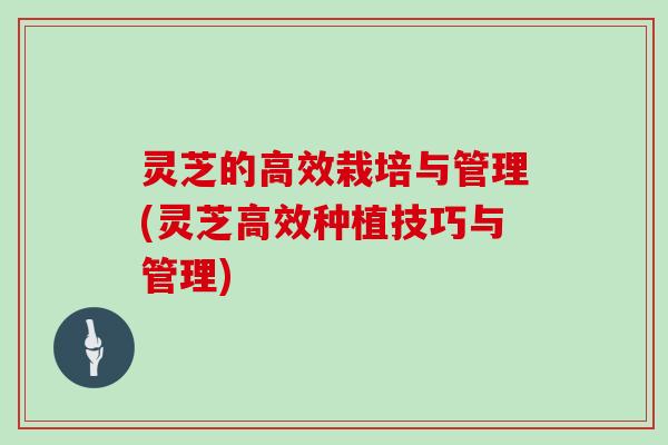 灵芝的高效栽培与管理(灵芝高效种植技巧与管理)