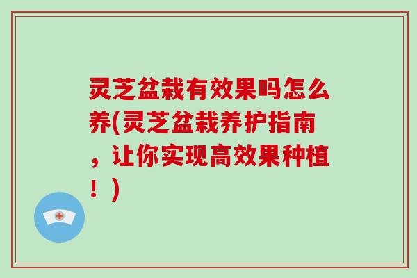 灵芝盆栽有效果吗怎么养(灵芝盆栽养护指南，让你实现高效果种植！)
