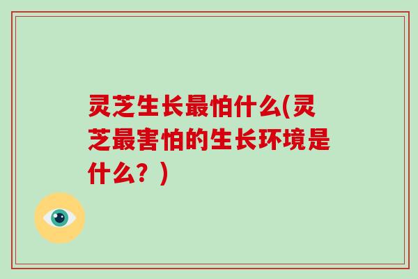 灵芝生长怕什么(灵芝害怕的生长环境是什么？)