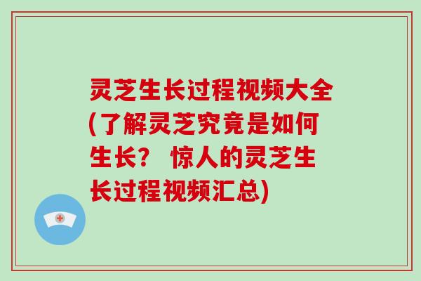 灵芝生长过程视频大全(了解灵芝究竟是如何生长? 惊人的灵芝生长过程视频汇总) 灵芝生长过程视频大全(了解灵芝究竟是如何生长? 惊人的灵芝生长过程视频汇总)