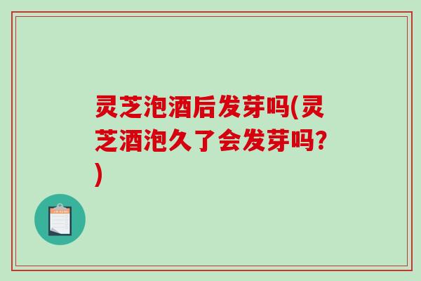 灵芝泡酒后发芽吗(灵芝酒泡久了会发芽吗?) 灵芝泡酒后发芽吗(灵芝酒泡久了会发芽吗?)