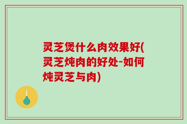 灵芝煲什么肉效果好(灵芝炖肉的好处-如何炖灵芝与肉) 灵芝煲什么肉效果好(灵芝炖肉的好处-如何炖灵芝与肉)