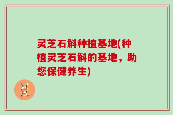 灵芝石斛种植基地(种植灵芝石斛的基地,助您保健养生) 灵芝石斛种植基地(种植灵芝石斛的基地,助您保健养生)