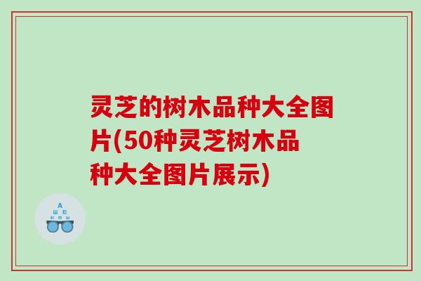灵芝的树木品种大全图片(50种灵芝树木品种大全图片展示) 灵芝的树木品种大全图片(50种灵芝树木品种大全图片展示)