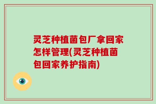 灵芝种植菌包厂拿回家怎样管理(灵芝种植菌包回家养护指南) 灵芝种植菌包厂拿回家怎样管理(灵芝种植菌包回家养护指南)