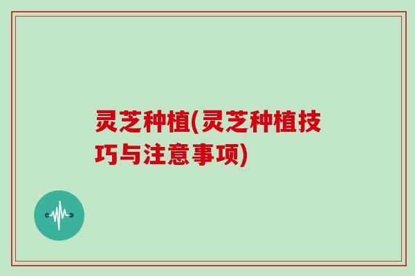 灵芝种植(灵芝种植技巧与注意事项) 灵芝种植(灵芝种植技巧与注意事项)
