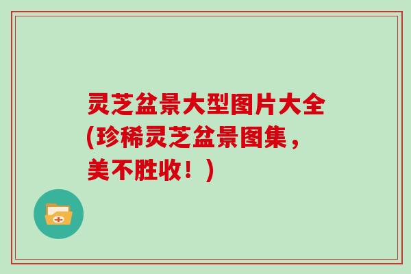 灵芝盆景大型图片大全(珍稀灵芝盆景图集,美不胜收!) 灵芝盆景大型图片大全(珍稀灵芝盆景图集,美不胜收!)
