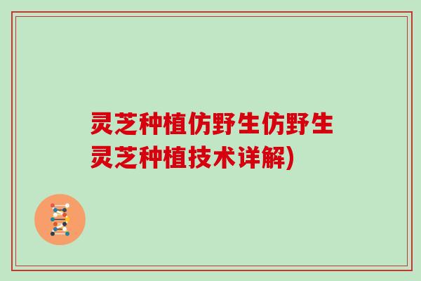 灵芝种植仿野生仿野生灵芝种植技术详解) 灵芝种植仿野生仿野生灵芝种植技术详解)