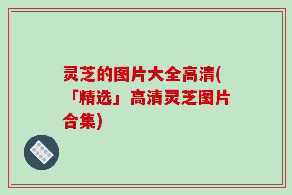 灵芝的图片大全高清(「精选」高清灵芝图片合集) 灵芝的图片大全高清(「精选」高清灵芝图片合集)