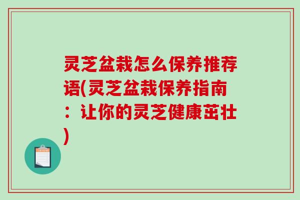 灵芝盆栽怎么保养推荐语(灵芝盆栽保养指南：让你的灵芝健康茁壮)