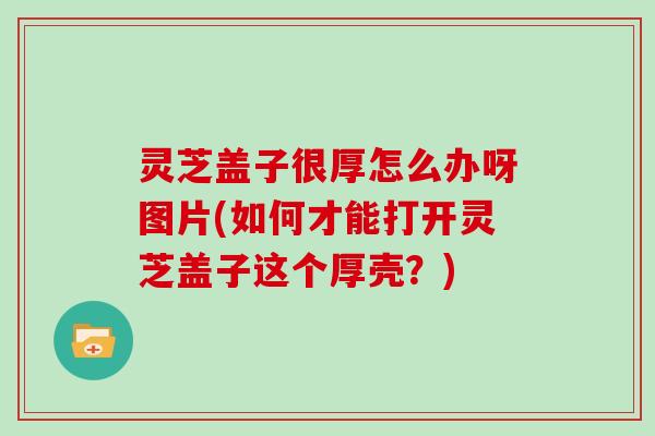 灵芝盖子很厚怎么办呀图片(如何才能打开灵芝盖子这个厚壳?) 灵芝盖子很厚怎么办呀图片(如何才能打开灵芝盖子这个厚壳?)