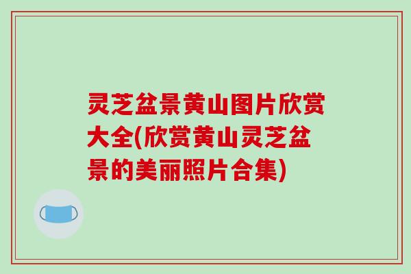 灵芝盆景黄山图片欣赏大全(欣赏黄山灵芝盆景的美丽照片合集) 灵芝盆景黄山图片欣赏大全(欣赏黄山灵芝盆景的美丽照片合集)