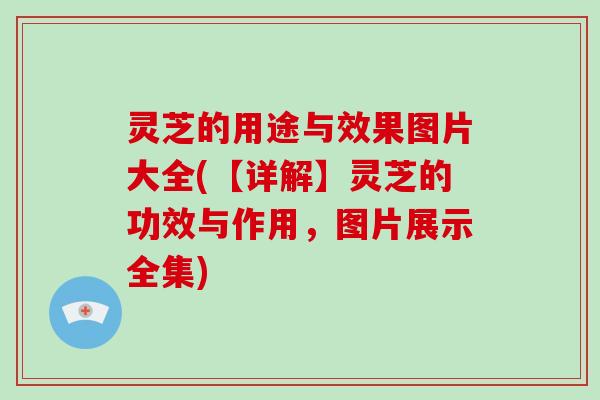 灵芝的用途与效果图片大全(【详解】灵芝的功效与作用,图片展示全集) 灵芝的用途与效果图片大全(【详解】灵芝的功效与作用,图片展示全集)