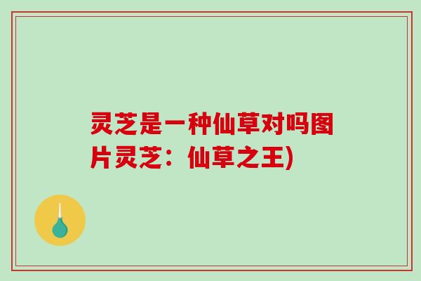 灵芝是一种仙草对吗图片灵芝:仙草之王) 灵芝是一种仙草对吗图片灵芝:仙草之王)