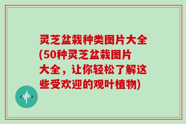 灵芝盆栽种类图片大全(50种灵芝盆栽图片大全,让你轻松了解这些受欢迎的观叶植物) 灵芝盆栽种类图片大全(50种灵芝盆栽图片大全,让你轻松了解这些受欢迎的观叶植物)
