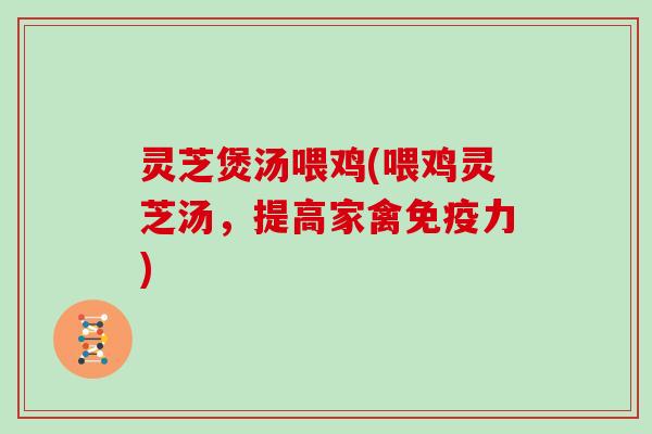 灵芝煲汤喂鸡(喂鸡灵芝汤，提高家禽免疫力)