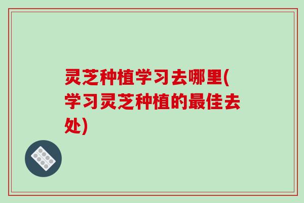 灵芝种植学习去哪里(学习灵芝种植的佳去处)