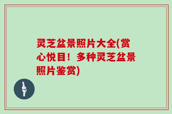 灵芝盆景照片大全(赏心悦目!多种灵芝盆景照片鉴赏) 灵芝盆景照片大全(赏心悦目!多种灵芝盆景照片鉴赏)
