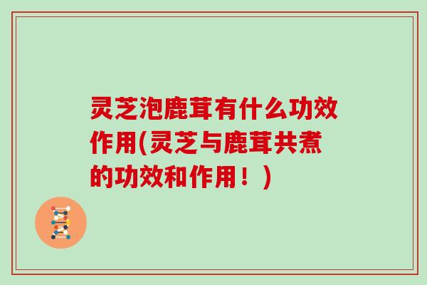 灵芝泡鹿茸有什么功效作用(灵芝与鹿茸共煮的功效和作用!) 灵芝泡鹿茸有什么功效作用(灵芝与鹿茸共煮的功效和作用!)