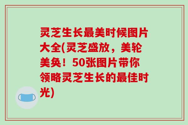 灵芝生长美时候图片大全(灵芝盛放,美轮美奂!50张图片带你领略灵芝生长的佳时光) 灵芝生长美时候图片大全(灵芝盛放,美轮美奂!50张图片带你领略灵芝生长的佳时光)