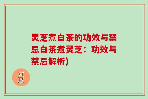 灵芝煮白茶的功效与禁忌白茶煮灵芝:功效与禁忌解析) 灵芝煮白茶的功效与禁忌白茶煮灵芝:功效与禁忌解析)