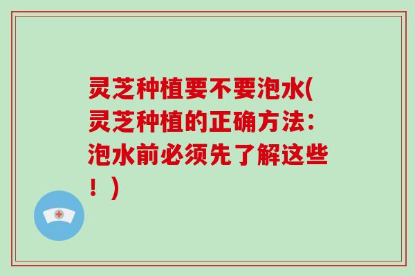 灵芝种植要不要泡水(灵芝种植的正确方法：泡水前必须先了解这些！)