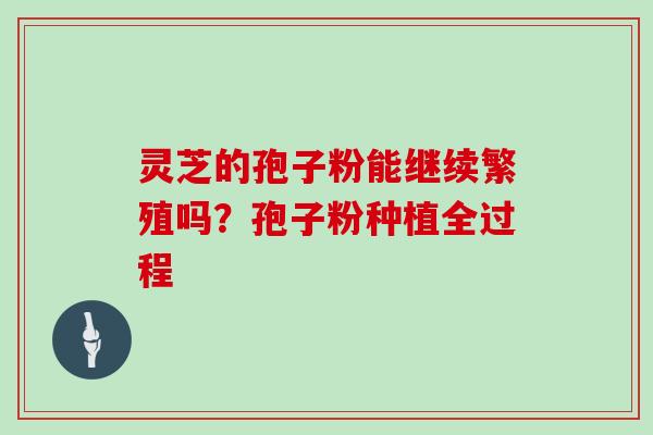 灵芝的孢子粉能继续繁殖吗?孢子粉种植全过程 灵芝的孢子粉能继续繁殖吗?孢子粉种植全过程