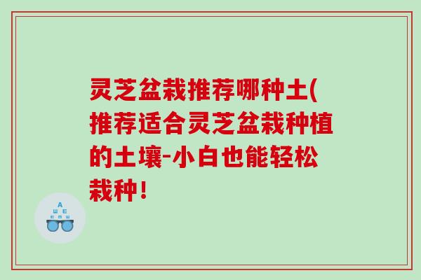 灵芝盆栽推荐哪种土(推荐适合灵芝盆栽种植的土壤-小白也能轻松栽种! 灵芝盆栽推荐哪种土(推荐适合灵芝盆栽种植的土壤-小白也能轻松栽种!