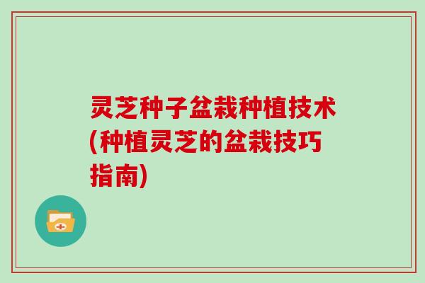 灵芝种子盆栽种植技术(种植灵芝的盆栽技巧指南) 灵芝种子盆栽种植技术(种植灵芝的盆栽技巧指南)