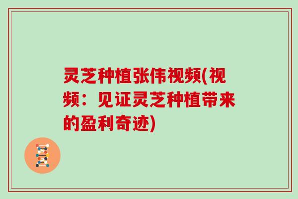 灵芝种植张伟视频(视频:见证灵芝种植带来的盈利奇迹) 灵芝种植张伟视频(视频:见证灵芝种植带来的盈利奇迹)