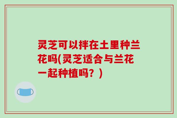 灵芝可以拌在土里种兰花吗(灵芝适合与兰花一起种植吗?) 灵芝可以拌在土里种兰花吗(灵芝适合与兰花一起种植吗?)