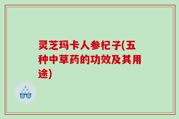 灵芝玛卡人参杞子(五种中草药的功效及其用途) 灵芝玛卡人参杞子(五种中草药的功效及其用途)
