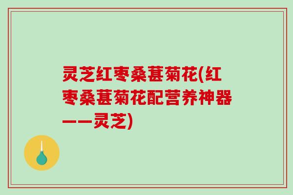 灵芝红枣桑葚菊花(红枣桑葚菊花配营养神器——灵芝) 灵芝红枣桑葚菊花(红枣桑葚菊花配营养神器——灵芝)