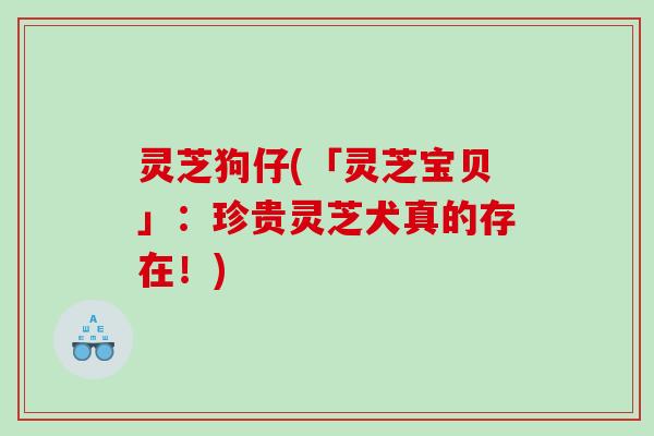 灵芝狗仔(「灵芝宝贝」:珍贵灵芝犬真的存在!) 灵芝狗仔(「灵芝宝贝」:珍贵灵芝犬真的存在!)