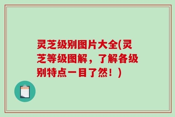 灵芝级别图片大全(灵芝等级图解,了解各级别特点一目了然!) 灵芝级别图片大全(灵芝等级图解,了解各级别特点一目了然!)