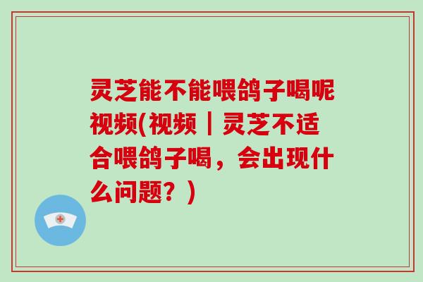 灵芝能不能喂鸽子喝呢视频(视频|灵芝不适合喂鸽子喝,会出现什么问题?) 灵芝能不能喂鸽子喝呢视频(视频|灵芝不适合喂鸽子喝,会出现什么问题?)
