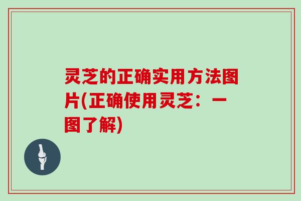 灵芝的正确实用方法图片(正确使用灵芝:一图了解) 灵芝的正确实用方法图片(正确使用灵芝:一图了解)