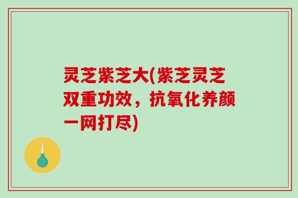 灵芝紫芝大(紫芝灵芝双重功效,养颜一网打尽) 灵芝紫芝大(紫芝灵芝双重功效,养颜一网打尽)
