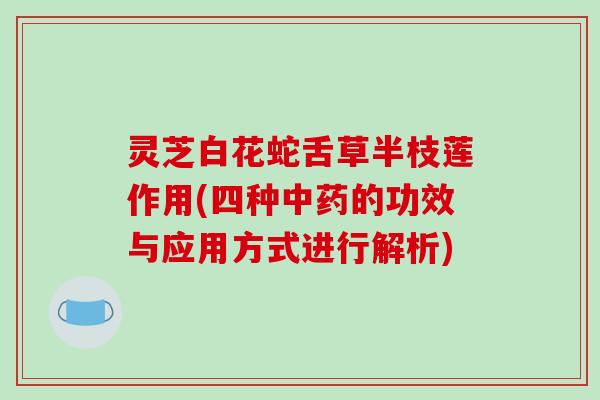 灵芝白花蛇舌草半枝莲作用(四种的功效与应用方式进行解析) 灵芝白花蛇舌草半枝莲作用(四种的功效与应用方式进行解析)