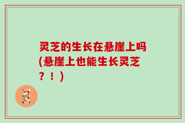 灵芝的生长在悬崖上吗(悬崖上也能生长灵芝?!) 灵芝的生长在悬崖上吗(悬崖上也能生长灵芝?!)