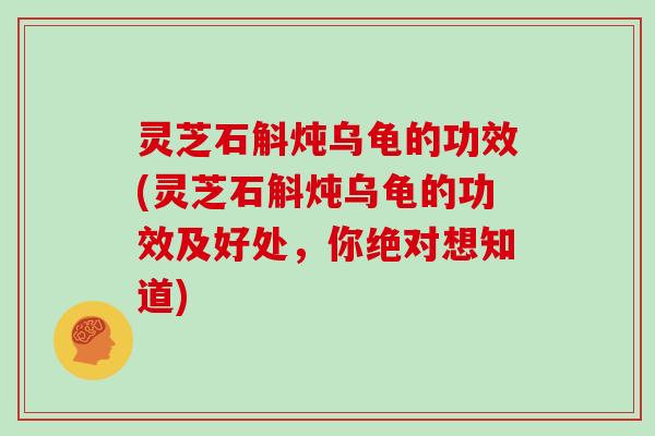 灵芝石斛炖乌龟的功效(灵芝石斛炖乌龟的功效及好处,你绝对想知道) 灵芝石斛炖乌龟的功效(灵芝石斛炖乌龟的功效及好处,你绝对想知道)